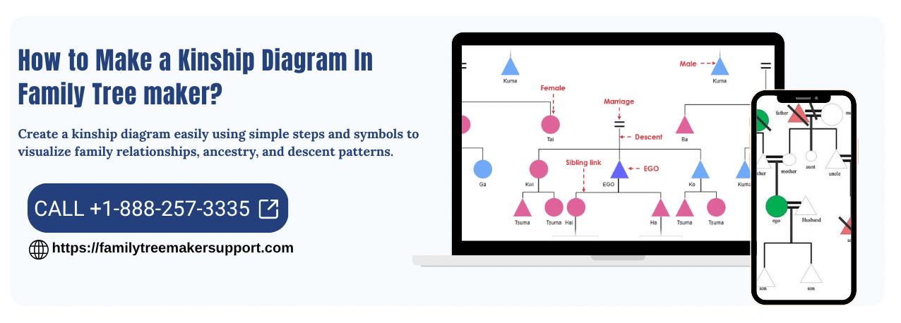 Make a Kinship Diagram