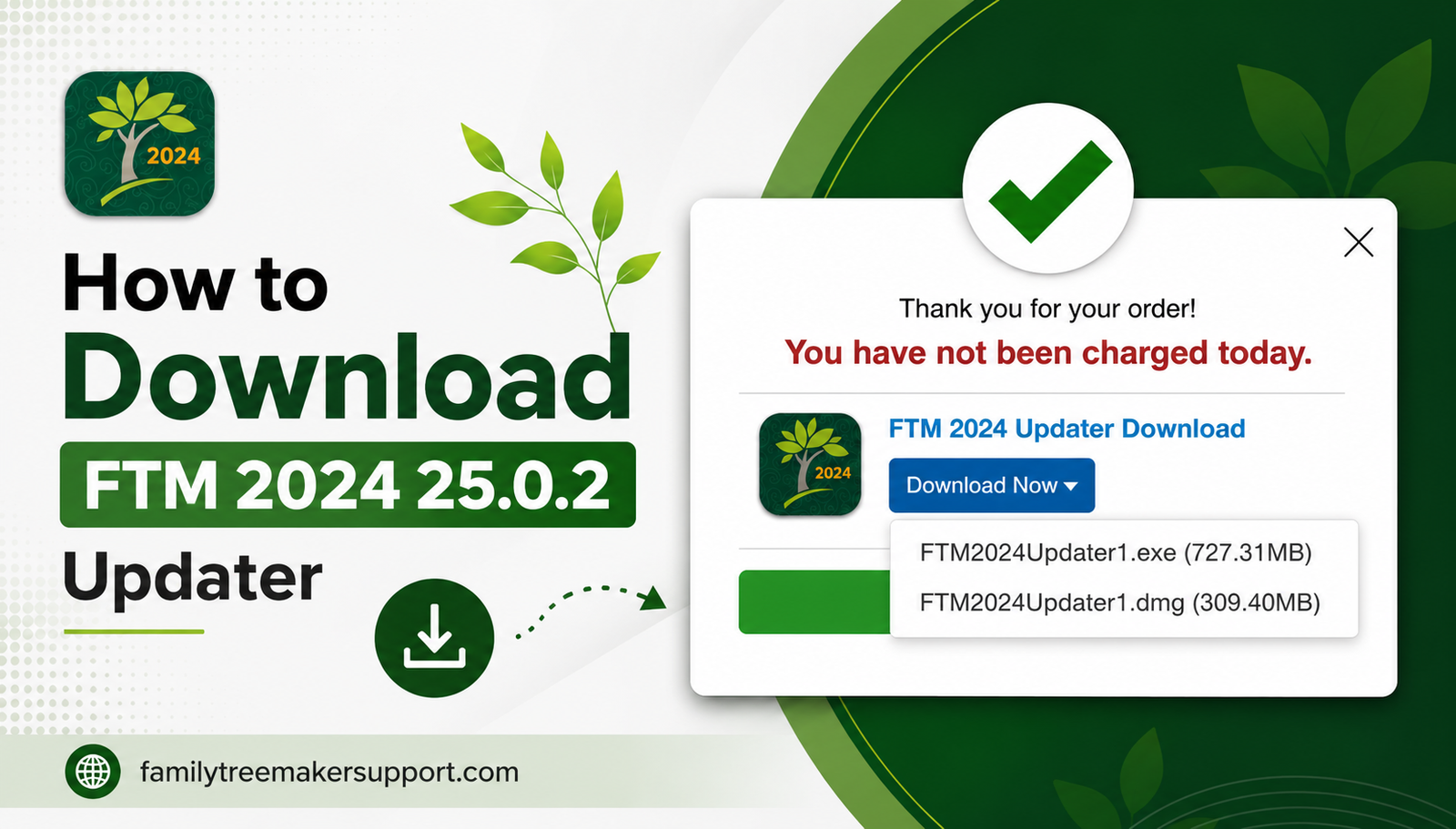 FTM 2024 25.0.2 Updater