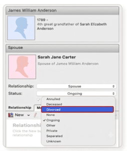Choose a Status for a Couple's Relationship